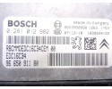 Centralita motor uce, Fiat Ii Scudo (272) Combi L1H1 90 Multijet (5 pl.) 2010, 9665091180