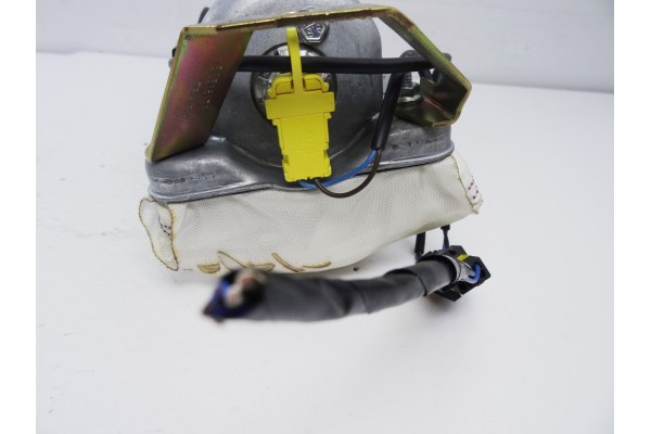 Airbag delantero derecho, Bmw Serie X5 (E53) 3.0i 2000, 30316165D