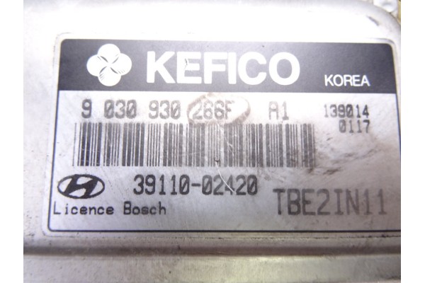 Centralita motor uce, Hyundai Getz (Tb) 1.1 Básico 2004, 3911002420