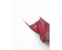 Aleta delantera izquierda, Peugeot 207 Confort 2008, GRANATE