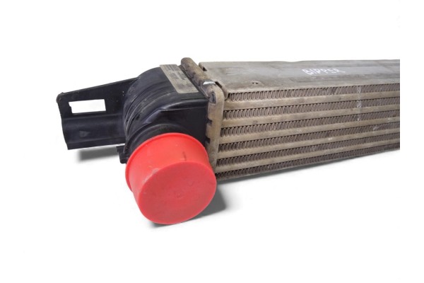 Intercooler, Peugeot Bipper Básico 2010