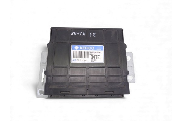Centralita motor uce, Hyundai Santa Fe (Sm) 2.4 Gls 2004, 3912138411