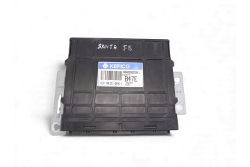 Centralita motor uce, Hyundai Santa Fe (Sm) 2.4 Gls 2004, 3912138411