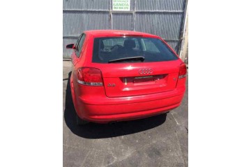 Audi A3 (8P1) 1.6 Ambiente 2006 para piezas | Desguace Gandia SL