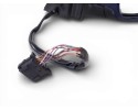 Retrovisor derecho, Volkswagen Passat Berlina (3B3) Edition 2005