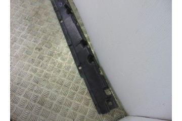 7207195 FALDON LATERAL BMW SERIE X5 (F15) xDrive30d 7207195 194847 BMW - 2