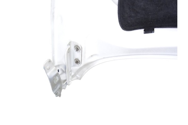 Capo, Ford Fiesta (CB1) Ambiente 2010