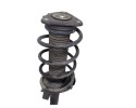 Amortiguador delantero izquierdo, Ford Focus Berlina (Cap) Sport 2007
