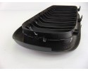 Rejilla delantera, Bmw Serie 1 Berlina (E81/E87) 116d 2009