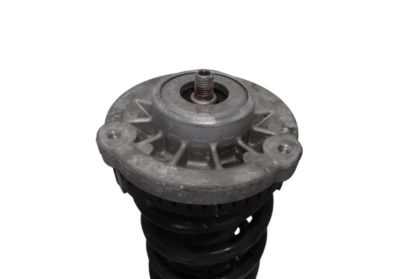 Amortiguador delantero derecho, Bmw Serie 7 (F01/F02) 740d xDrive 2011, 6796940