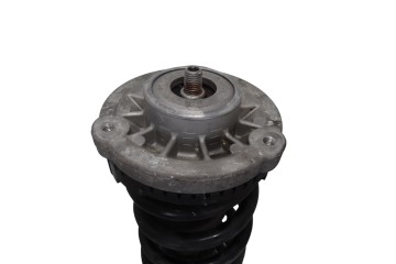 Amortiguador delantero derecho, Bmw Serie 7 (F01/F02) 740d xDrive 2011, 6796940