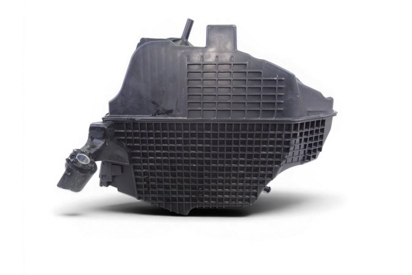 Filtro aire, Dacia Sandero Ii Stepway 2018, 165009775R