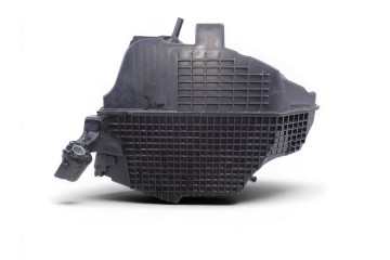 Filtro aire, Dacia Sandero Ii Stepway 2018, 165009775R