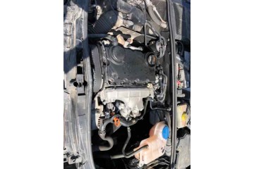 Audi A4 Avant (8E) 2.0 TDI 2005 para piezas | Desguace Gandia SL