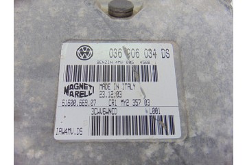 Centralita motor uce, Seat Leon (1M1) Signo, 036906034DS