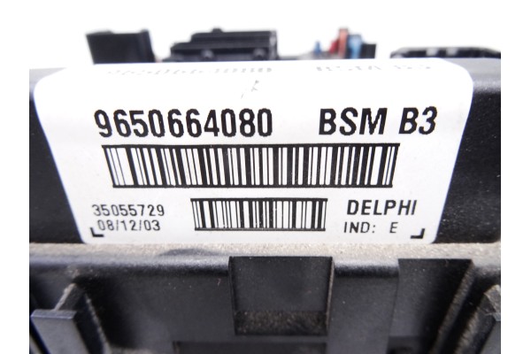Caja reles / fusibles, Peugeot 206 Xs 2004, 9650664080