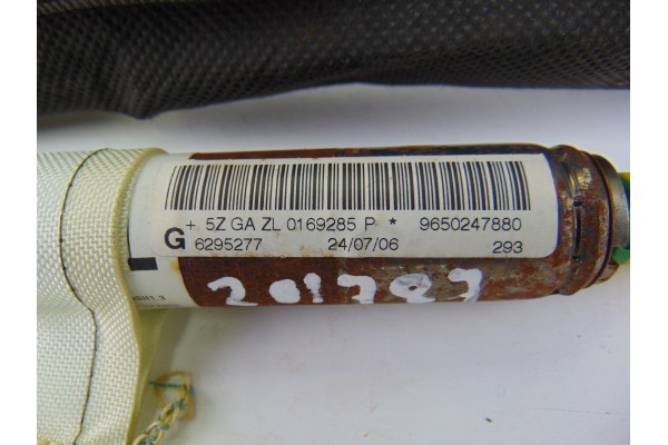 Airbag cortina delantero izquierdo, Peugeot 207 Xs 2006, 9650247880