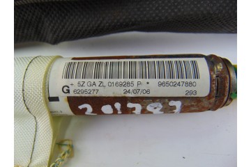 Airbag cortina delantero izquierdo, Peugeot 207 Xs 2006, 9650247880
