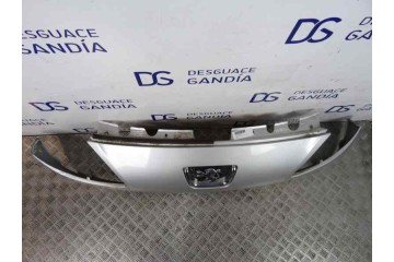 Rejilla delantera