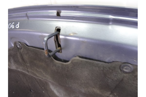 Capo, Peugeot 307 Berlina (S2) X-Line 2006