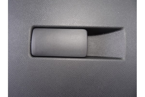 Guantera, Peugeot 308 (P5) Active Pack 2022