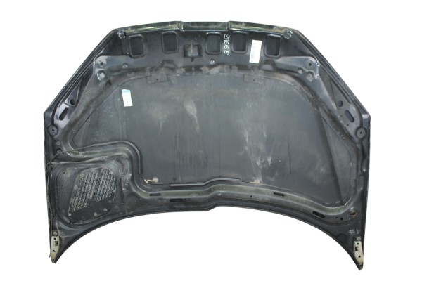 Capo, Peugeot 206 Xs 2004