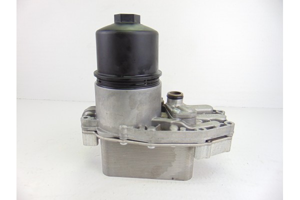 Enfriador aceite motor, FW93-6B624-AB