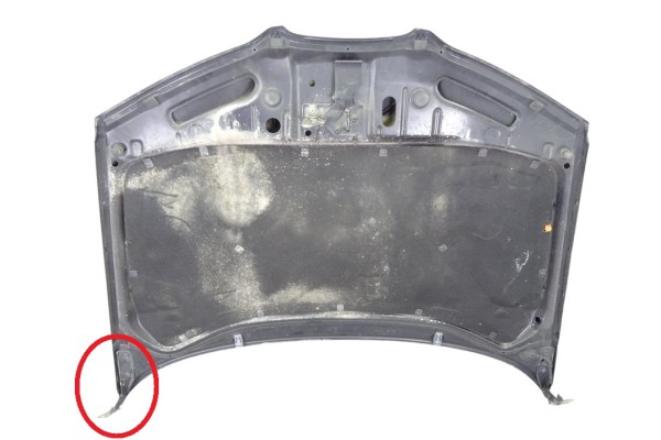 Capo, Seat Ibiza (6L1) Reference 2007