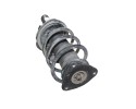 Amortiguador delantero derecho, Ford Focus Berlina (Cap) Trend 2005