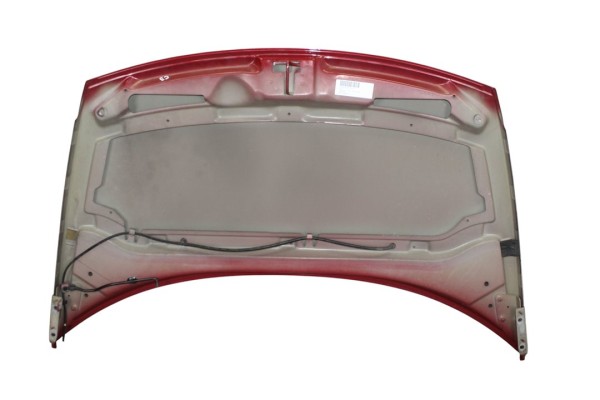 Capo, Citroen C3 1.1 Furio 2009, GRANATE