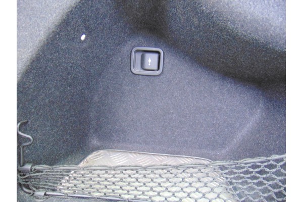 Guarnecido porton trasero, Bmw Serie 3 Berlina (F30) 328i 2012, 7289011-08