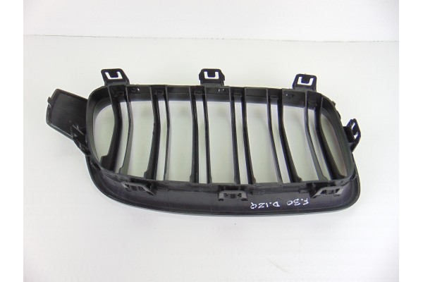 Rejilla paragolpes izquierda, Bmw Serie 3 Berlina (F30) 328i 2012