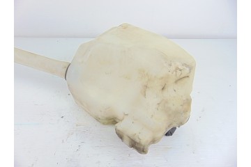 Deposito limpia, Renault Scenic Ii (Jm) Authentique 2004, 8200104706