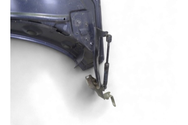Capo, Renault Scenic Iii (Jz) Dynamique 2010