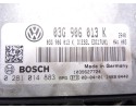Centralita motor uce, Seat Ibiza Berlina (6J5) Reference 2008, 03G906013K