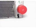 Radiador agua, Bmw Serie 5 Berlina (E60) 525xi 2005
