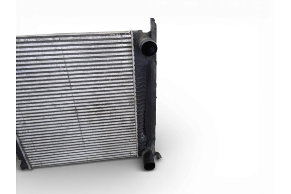 Intercooler, Land Rover Range Rover Sport V6 Td Hse 2010, AH329L440AB
