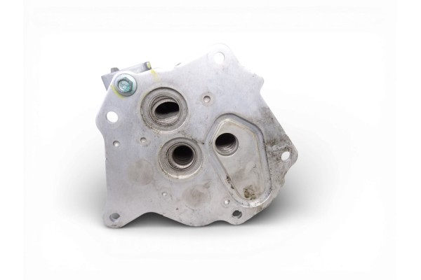 Enfriador aceite motor, T16704