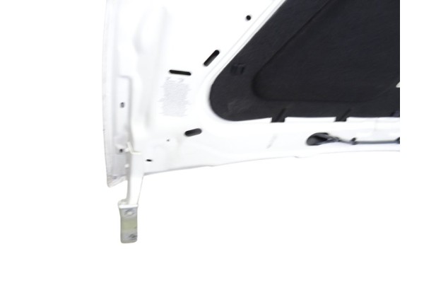 Capo, Fiat Ii Doblò (263) Cargo Base Combi 2020