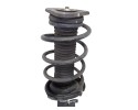 Amortiguador delantero derecho, Ford Focus Berlina (Cap) Sport 2007