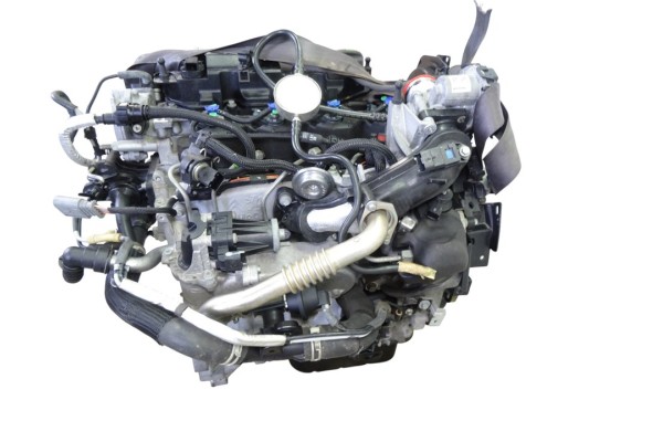 Motor completo, Ford Focus Sportbreak (Cew) Trend 2021, AEDA