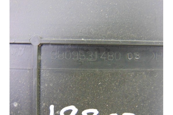 9809531480 CUBRECARTER PEUGEOT 3008 Active 9809531480 198086 PEUGEOT - 2