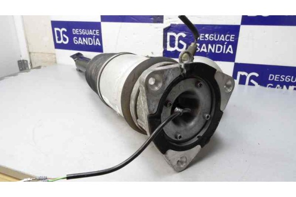 Amortiguador trasero izquierdo, 3D0616001K