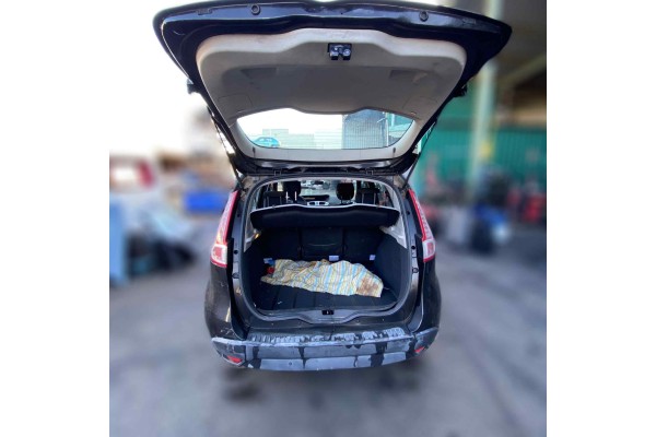 RENAULT SCENIC III (JZ) Emotion