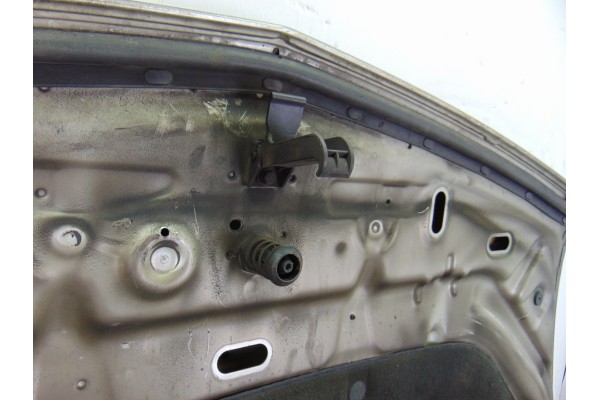 Capo, Renault Vel Satis (BJ0) Initiale 2005