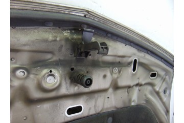Capo, Renault Vel Satis (BJ0) Initiale 2005