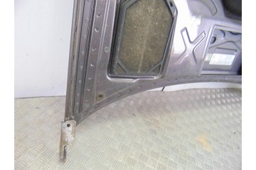 Capo, Audi A8 (D2) 2.5 TDI Quattro 2001