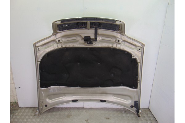 Capo, Audi A6 Avant (4B5) 3.0 2002