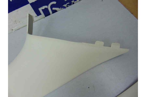 Techo interior, Dodge Journey (Jc) Sxt 2008