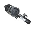 Amortiguador delantero derecho, Ford Focus Berlina (Cap) Trend 2005